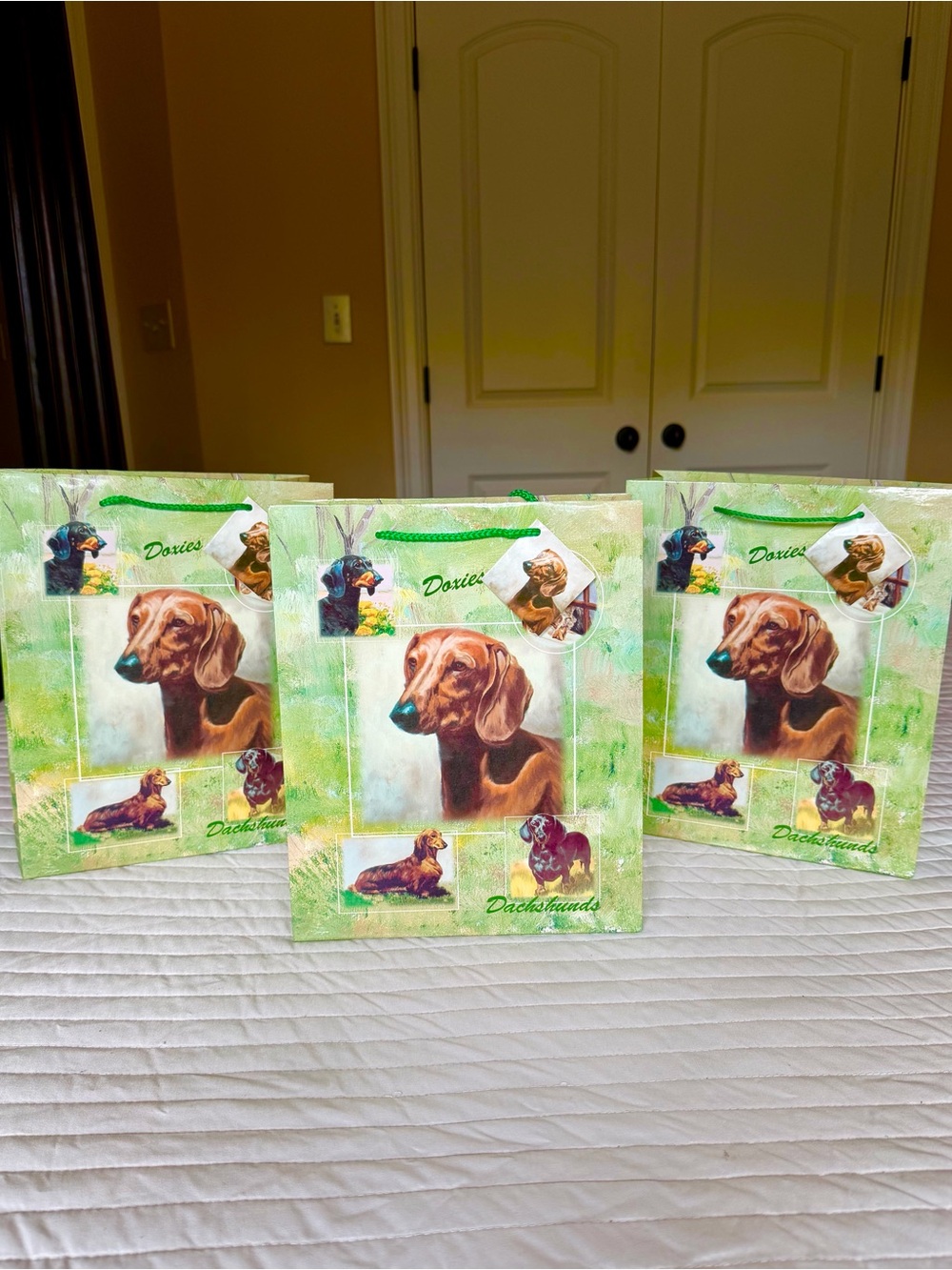 Dachshund Set of 3 Medium Gift Bags Premium Design by Best Friends Ruth Maystead